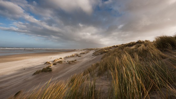 The Netherlands