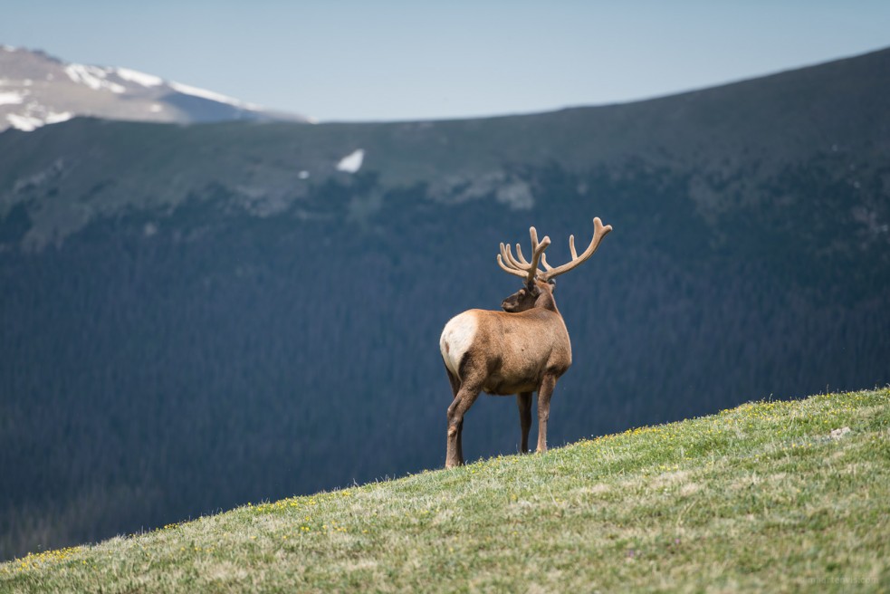 Colorado