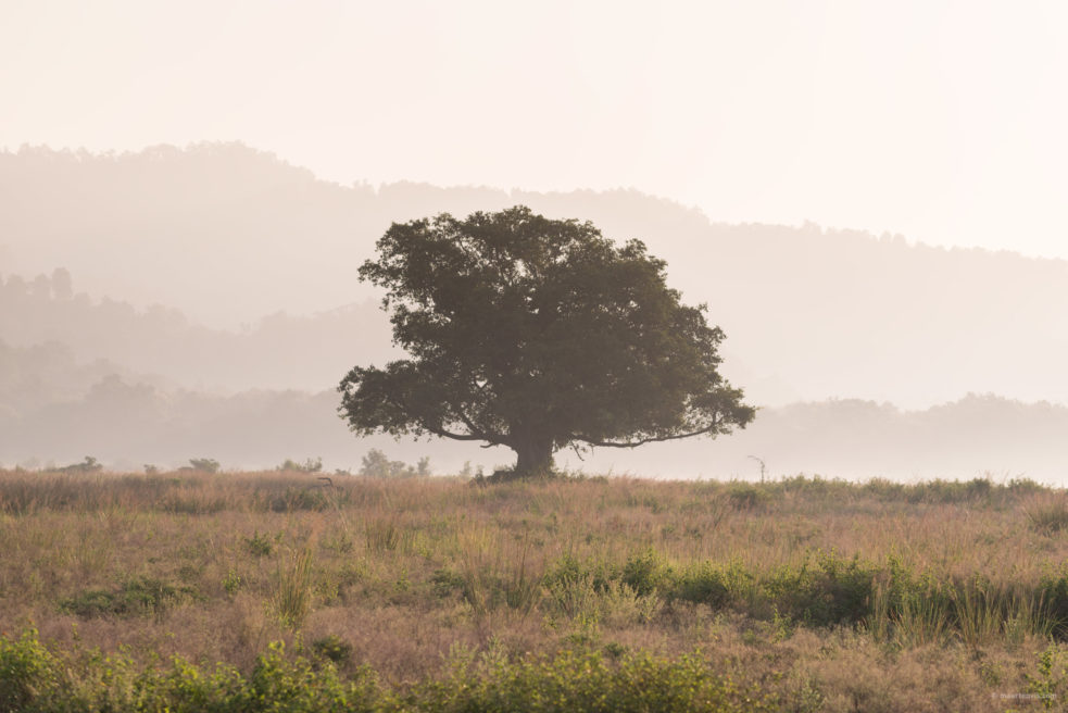 Uttarakhand