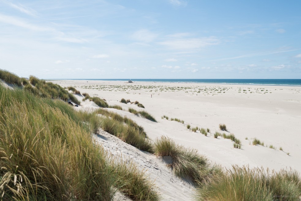 Terschelling