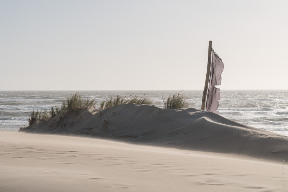 Zandvoort Beach